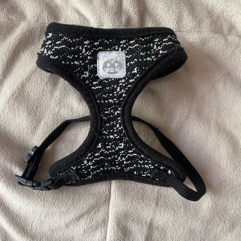 Kitten Harnesses(2) and Leash